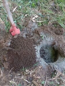 Preparo da cova com as medidas de 30x30x30cm com adição de cinzas e carvao no fundo e logo em seguida misturar adubo organico com adição de humus de minhoca esterco de gado e acaí triturado.