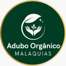 IMG-20250126-WA0100-225x225