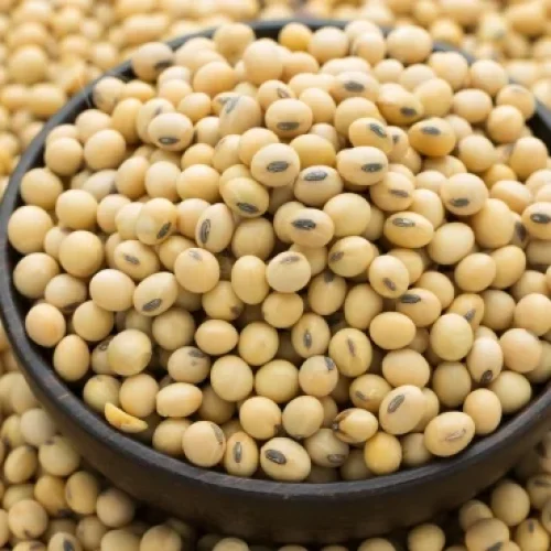 Futuros da soja realizaram lucro em Chicago e fecharam a terça-feira com leves recuos